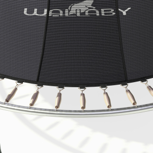 Батут Wallaby Sydney 8 FT Basketball