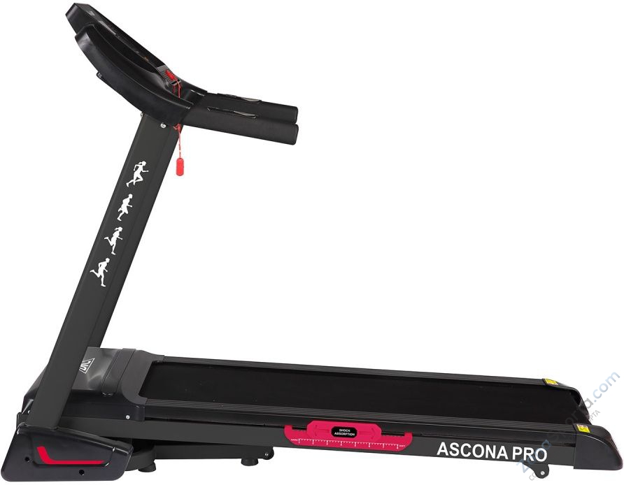 Беговая дорожка DFC Ascona T595