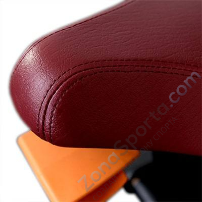 Бицепс сидя на свободных весах Protrain T8-613