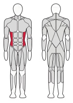 Боковой наклон Fitex Pro FTX-7319A