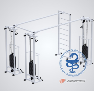 Кроссовер Биотонус-3+шведская стенка (стек 3х75кг) AR087.3х2200