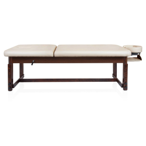 Массажный стол стационарный Mizomed Essence-Tilt SET3S30+H