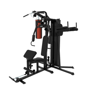 Мультистанция 3-х позиционная Gymmaster FC6015