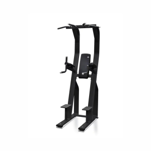 Поднятие коленей/ брусья/ подтягивание UltraGym UG-CL304