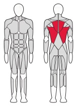 Рычажная тяга Fitex Pro FTX-FB34