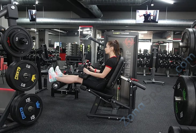 Сгибание/разгибание ног сидя Hasttings Digger HD037-1