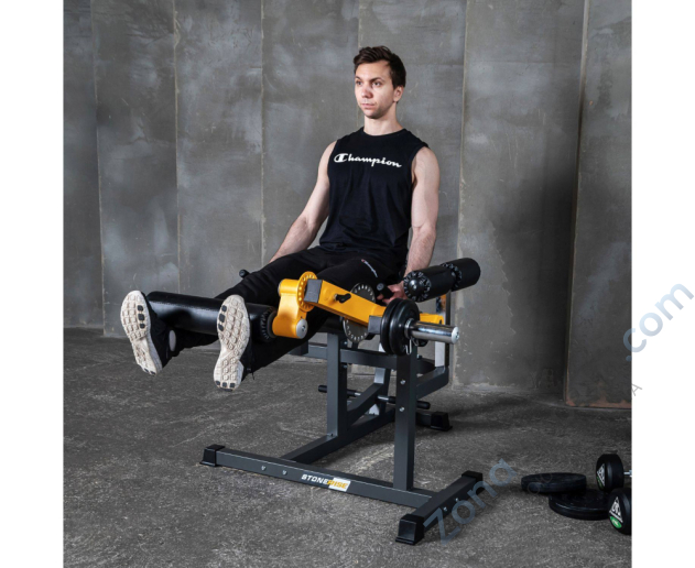 Тренажер для сгибания-разгибания ног StoneRise DTrainer DJS3001