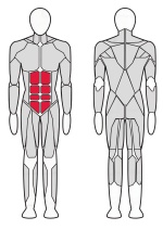 Тренажер Пресс машина Fitex FTX-6915 